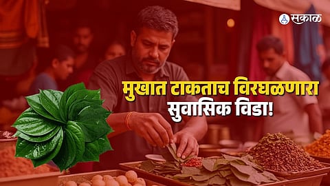 India’s Aromatic Betel Leaf Industry Gets GI Tag for Unique “Paan City”