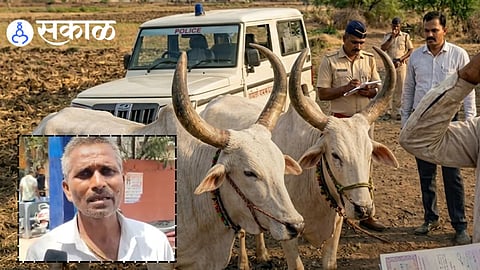 Maharashtra farmer police action news