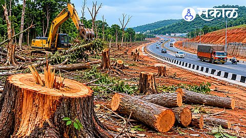 Why were trees cut for Mumbai-Goa Highway?