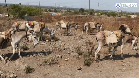 Beed District