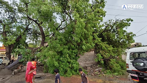 Structural Havoc: Houses Defaced as Tin Roofs Fly Away and Trees Collapse on Local Shelters