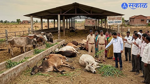 Yavatmal