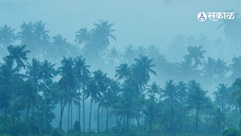 Monsoon 2026