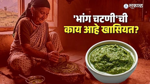 Uttarakhand’s Famous Bhang Chutney Wins Hearts with Flavor, Not Intoxication