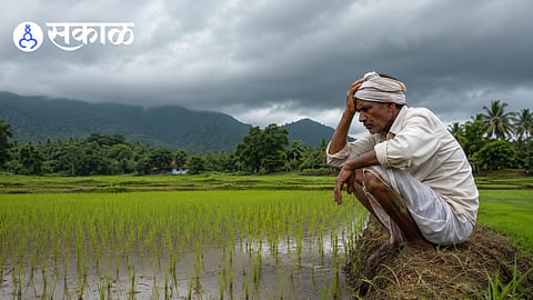 How will El Nino impact Konkan farmers?