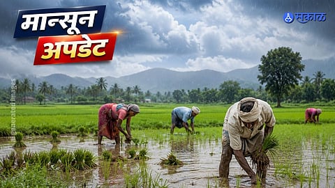 Monsoon Arrival Kerala IMD Rain Forecast