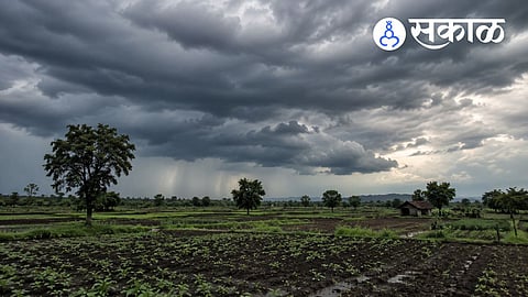 Will Vidarbha receive heavy rainfall this week?