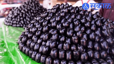 jamun benefits for diabetes patients