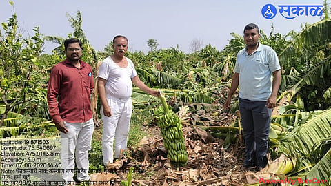 Standing Crops Flattened as Storm Strikes; Damage Assessment Begins