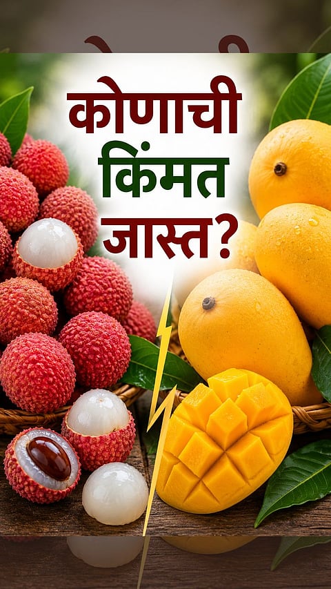 Lichi Costs More Than Hapus