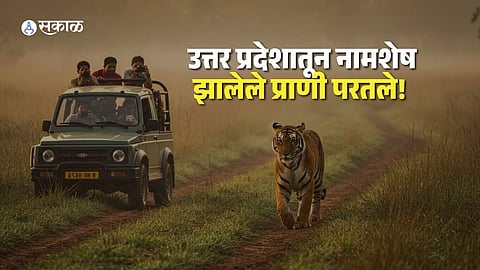 117-Year Comeback! Rare Reptile Rediscovered in Dudhwa National Park
