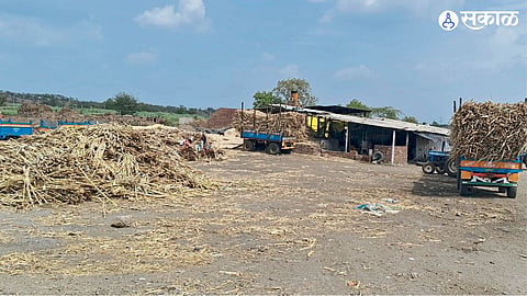 Jaggery Processing Units close