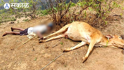 farmer vittal dhebe death by electric shock