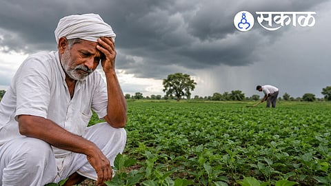 What is the Sangli rainfall record scam?