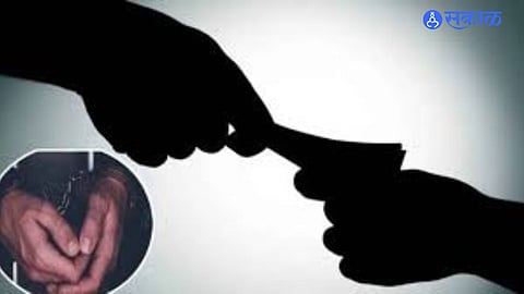Bribe for No Action on Illegal Tree Felling: Female Forest Official Held