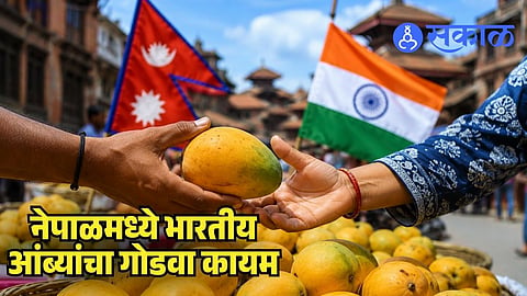 Indian mango export to Nepal latest update
