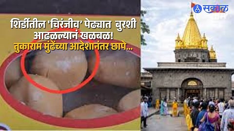 Shirdi Sweet Shop Under Scanner After Fungus Detected in Chiranjeev Peda