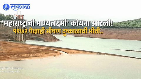 Alarm Bells Ring as Koyna Water Storage Drops Sharply Amid Delayed Monsoon