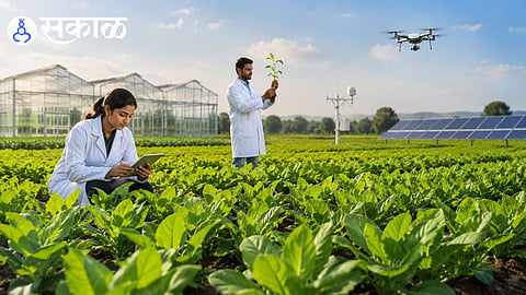 Maharashtra agriculture university recruitment 2026