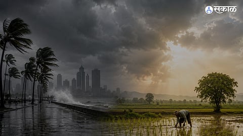 Maharashtra Monsoon Update :