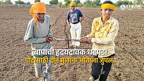 Poverty Forces Farmer to Harness His Children for Farming in Maharashtra's Jalgaon