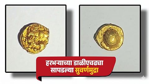 Kasba Beed gold coin discovery