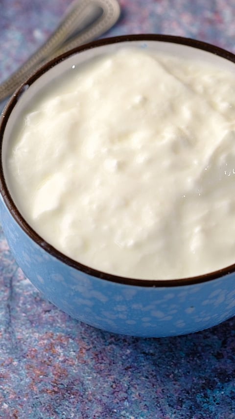 Should Not Eat Curd Daily According to Ayurveda