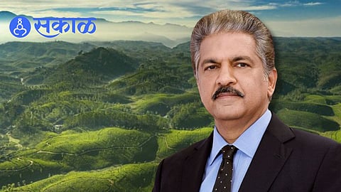 Anand Mahindra recommended travel destination in India