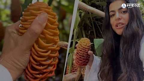 Natural Shampoo Flower Goes Viral 