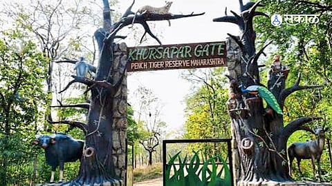 New Safari Timetable Announced for Tiger Reserves as Monsoon Arrives Late