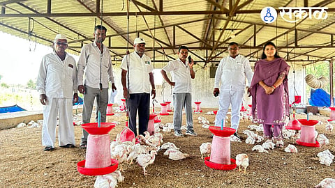 3600 Broiler chickens death in lakhangaon