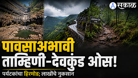 Hydro-Meteorological Latency: Delayed Monsoon Stalls Waterfall Discharges at Tamhini Ghat Segments