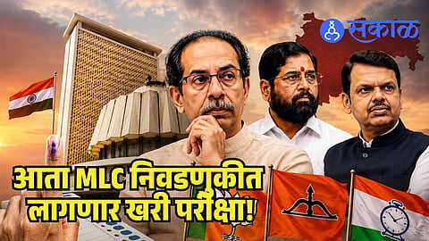 MLC Election 2026