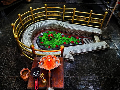 Bhimashankar temple darshan booking