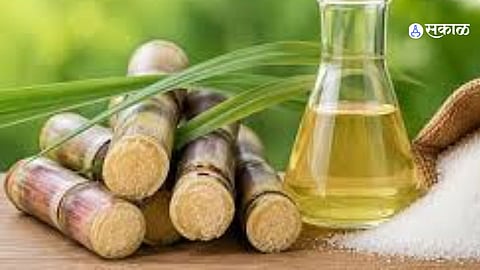 Higher FRP, Flat Market Rates: Sugar Factories Struggle to Balance Economics