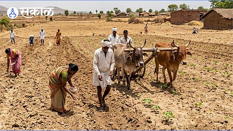 Planting