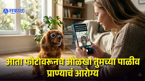 Samsung Launches AI Pet Care Feature
