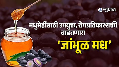Jamun Honey Health Benefits