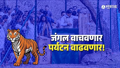 mp jungle tourism