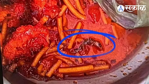 Lizard Found In Manchurian 
