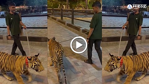 Nilesh Lanke Viral Video With Real