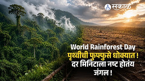 World Rainforest Day