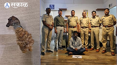 Man Arrested for Trafficking Monitor Lizard Body Parts
