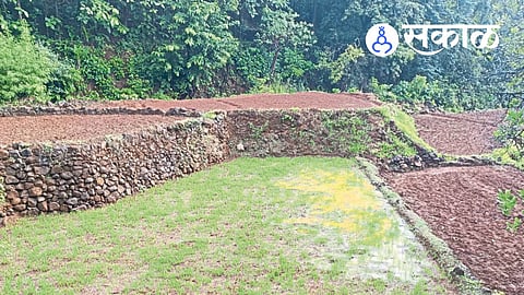 Sindhudurg monsoon rainfall update 2026