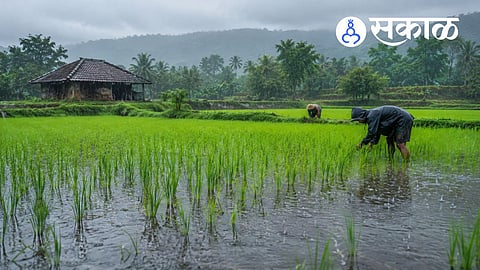 heavy rainfall in Sindhudurg