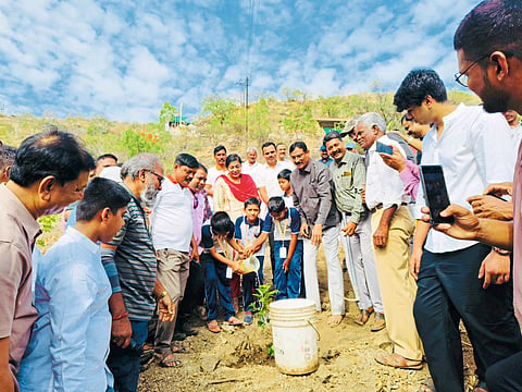 कडेपठार डोंगरात 
देशी वृक्षांची लागवड
