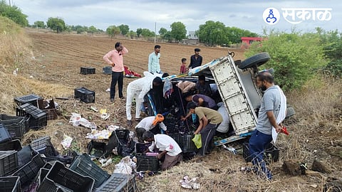 Crowd Rushes to Collect Jamun After Pickup Truck Overturns