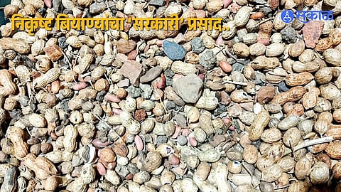 Sowing Season Worry: ‘Certified’ Seeds Allegedly Fail Quality Test