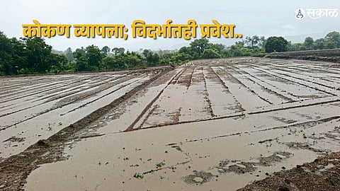 Monsoon March Continues: Konkan Fully Covered, Vidarbha Joins Rain Map
