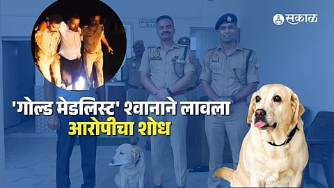 mary dog uttar pradesh police